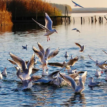 Seehotel Berlin-rangsdorf 4*