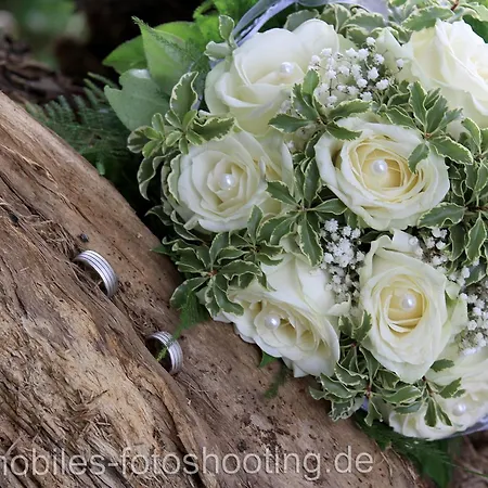 Отель Seehotel Berlin-rangsdorf 4*