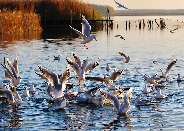 Seehotel Berlin-rangsdorf 4*